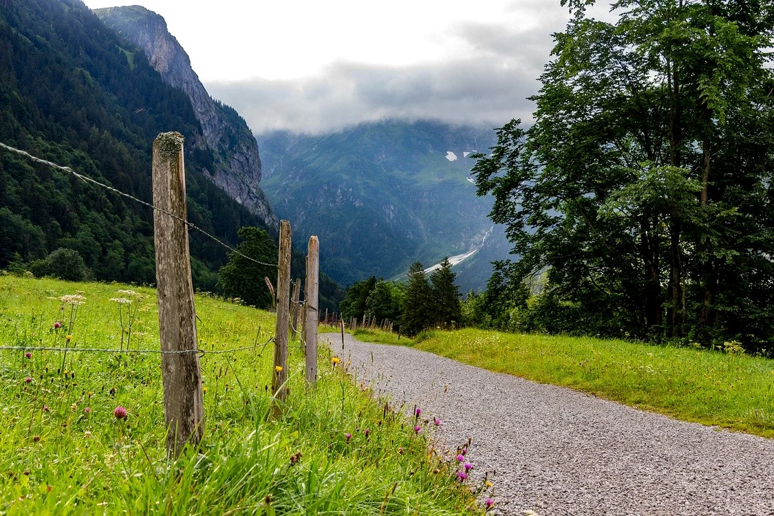 Natură / foto: Pixabay
