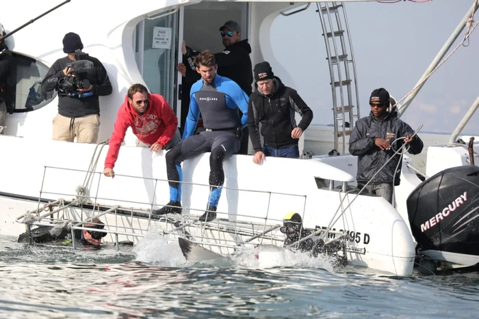 Michael Phelps se încumetă să stea alături de rechini FOTO Discovery Channel