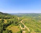 Drumul din Munții Zarandului  Foto Daniel Guță ADEVĂRUL (3) jpg