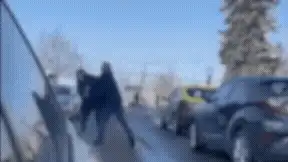 Doi șoferi din Dorohoi au ajuns la poliție, după ce s-au luat la pumni în mijlocul străzii