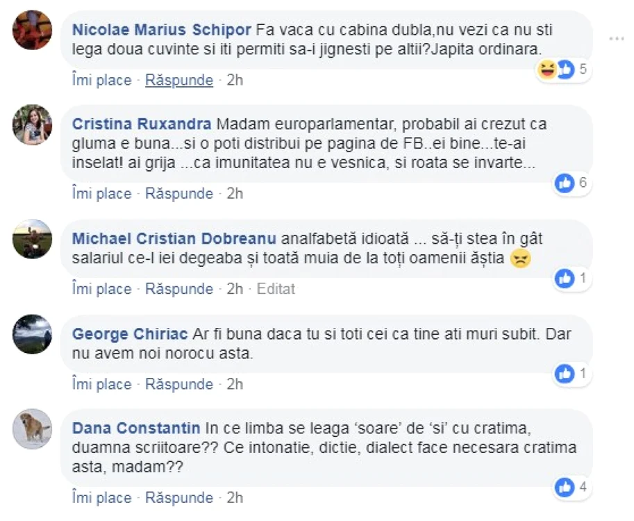 Mesaje maria grapini FOTO Facebook