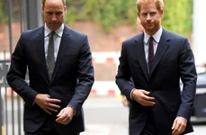 william si harry profi jpg