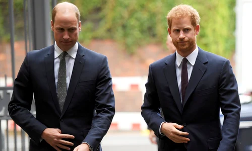 william si harry profi jpg