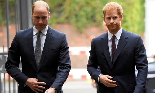 william si harry profi jpg