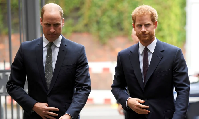 william si harry profi jpg
