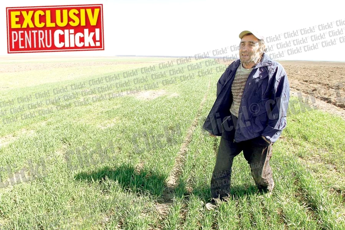 
    Nea’ Mitică ne-a  condus pe  ogorul prezidenţial (FOTOGRAFII: SEVER GHEORGHE)  