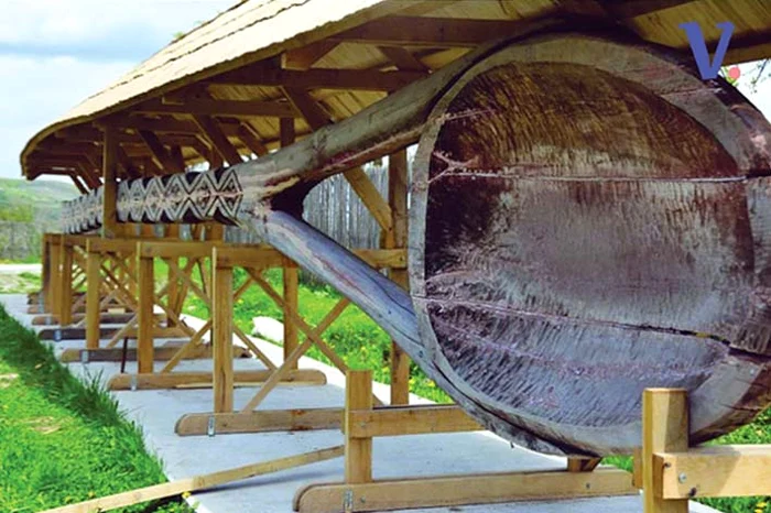 Lingura de dimensiuni impresionante este expusă în prezent la Cula Racoviţa din oraşul Mioveni