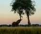 Imagini surprinse de cei doi vloggeri români din Zambia, Africa. Foto: Instagram