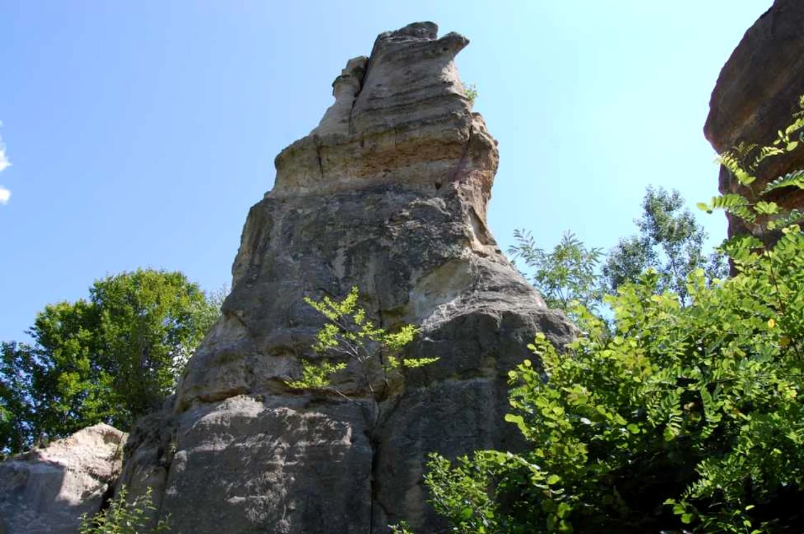 gradina zmeilor