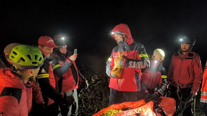 Pisicuţa are patru luni  şi e în afara pericolului