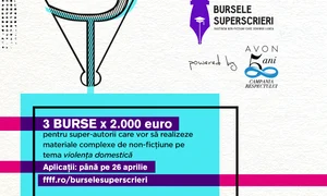 Violenta domestică pe harta Pulitzer în 2015  România cum îşi susţine autorii? png