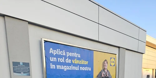 panou publicitar angajare lidl  Foto Facebook jpg