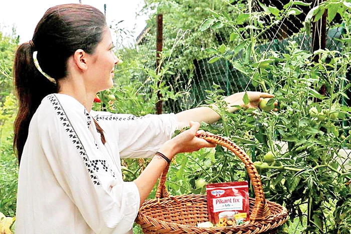 Anca a cules cele mai frumoase roşii verzi, care s-au transformat în gogonele murate