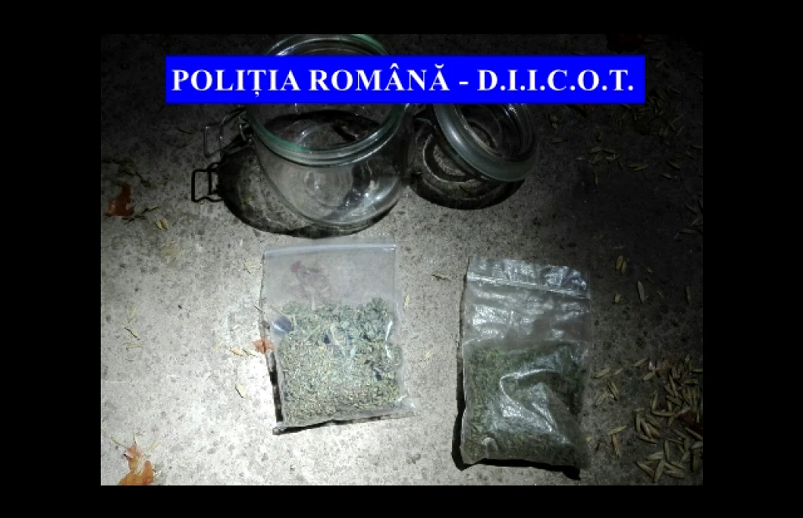 Au fost puse în executare 3 mandate de aducere, persoanele depistate fiind conduse la sediul parchetului pentru audieri şi dispunerea măsurilor legale