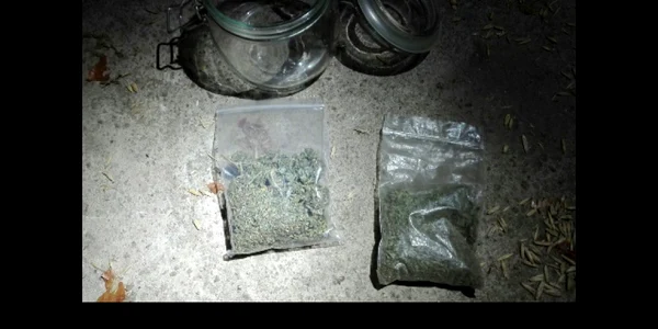 cannabis cornatelu