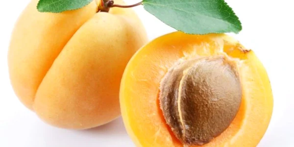 Romanii numeau caisele praecoquum, adică „fructe precoce“