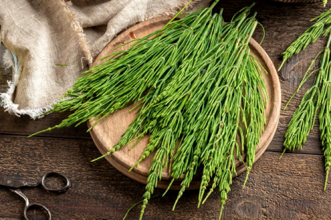 Este o plantă foarte comună / foto: IStock