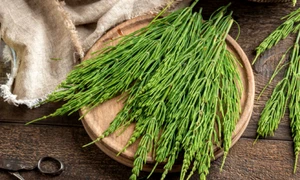 coada calului istock jpg