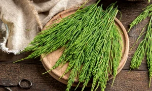 coada calului istock jpg