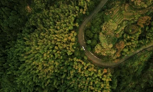 drone 4605203 1280 jpg