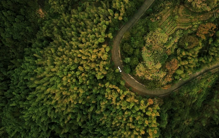 Un nou animal a fost descoperit pe teritoriul României