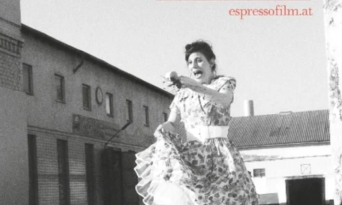 Regizoarea Anca Miruna Lăzărescu la festivalul „espressofilm“ din Viena jpeg