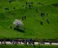 Pelerinaj Rusalii catolice Şumuleu Ciuc - 22 mai 2021 / FOTO Mediafax Foto / Andreea Alexandru