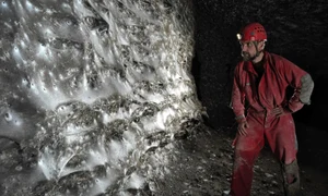 cea mai mare panza paianjen profimedia (1) jpg