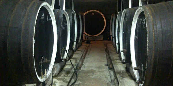vinificatie