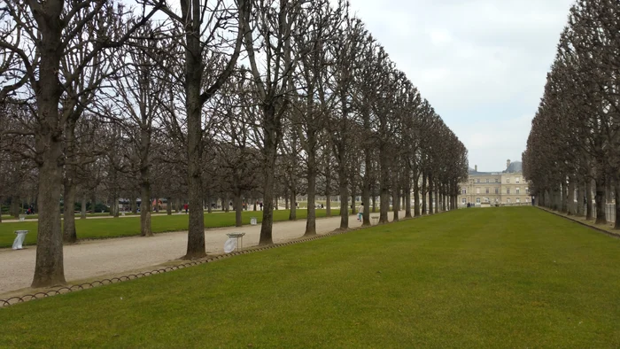 Jardin du Luxembourg