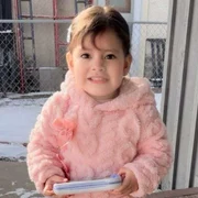 Agenții de imigrare din SUA ICE au reținut o fetiță de doi ani din Minnesota FOTO: X/@allenanalysis