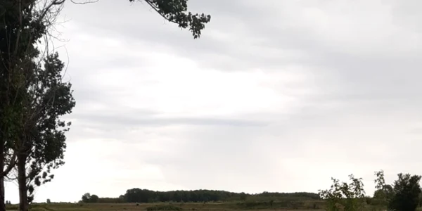 accident falcoiu