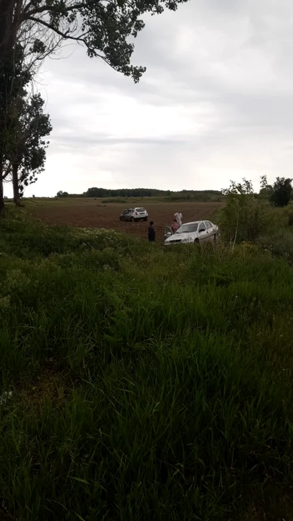 Două dintre maşinile implicate în accident au ajuns pe câmp FOTO: martor