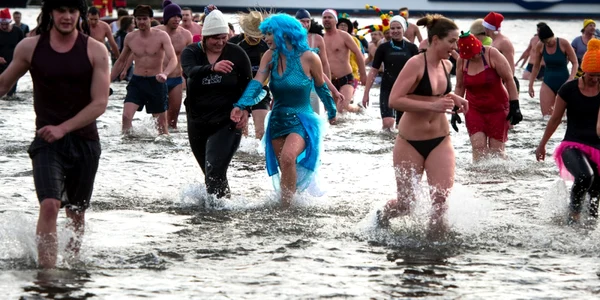 Elbe Swim 12 ianuarie 2014 Foto EPA EFE (arhiva)