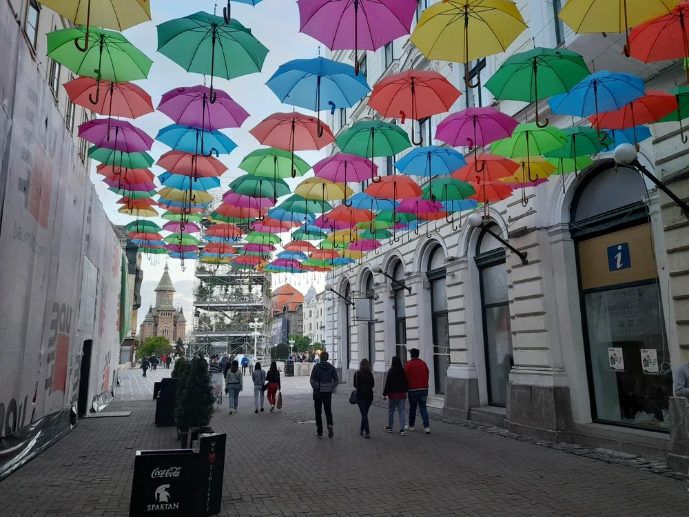 Strada Alba Iulia din Timișoara FOTO Ștefan Both