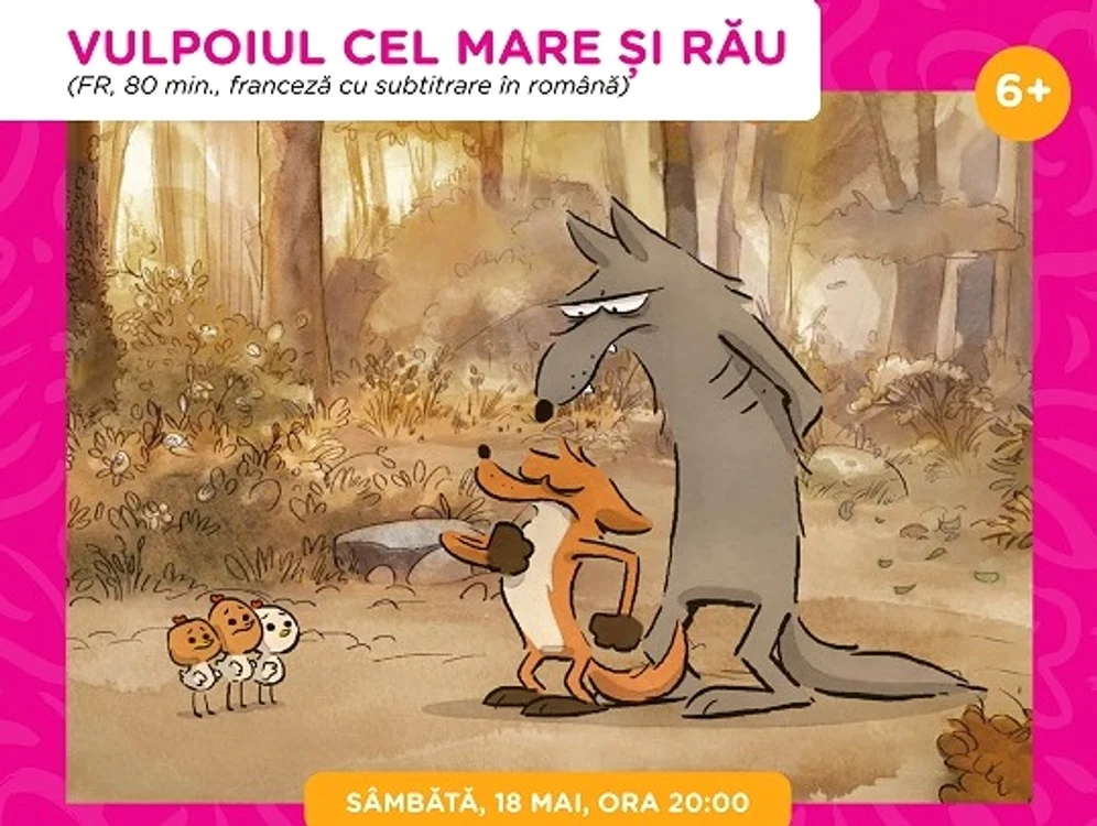 Proiecţii de film. FOTO animest.ro/amzei-animat