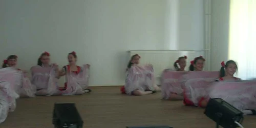 Elevii au evoluat pe scena din sala de festivităţi a liceului