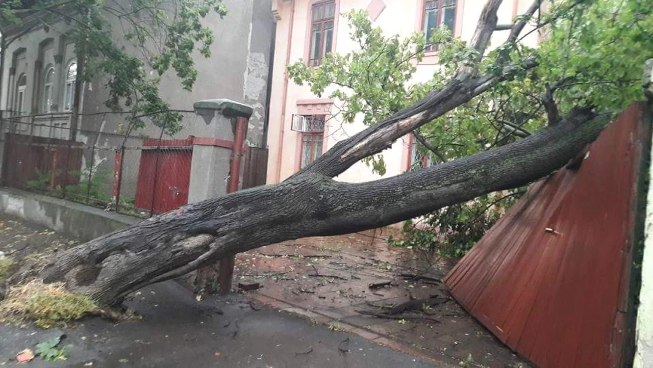 Imagine cu efectele vijeliei de la Galaţi FOTO C. Crângan