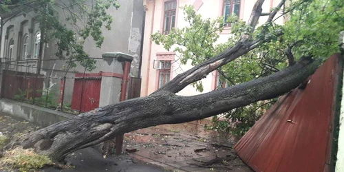 Imagine cu efectele vijeliei de la Galaţi FOTO C. Crângan