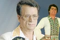 ion dolanescu logo jpeg