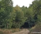 Satul Tomnatec din Hunedoara Foto Daniel Guță ADEVĂRUL (14) jpg
