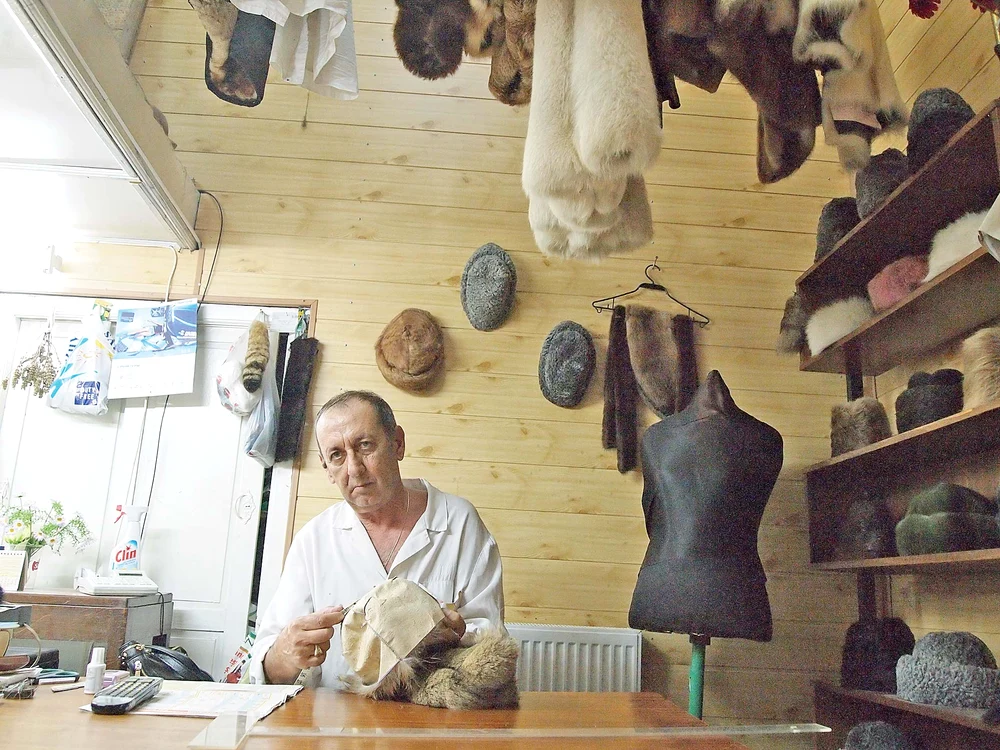 
    Gabriel Şuşală (65 de ani), cel mai cunoscut blănar din Capitală, e supărat că românii nu mai cumpără îmbrăcăminte de calitateFoto: Dan L. Brumar  