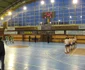 csbt Alexandria