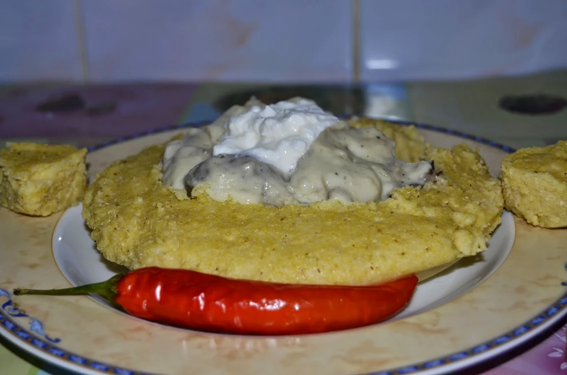
    Ciulama de hribi  