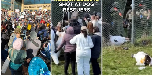 Proteste violente la o fermă de caini beagle din SUA. Poliția a intervenit cu gloanțe de cauciuc și spray lacrimogen FOTO: captura video FB