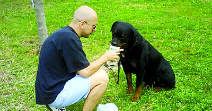 Oradea: Orădenii îşi duc câinii  la veterinar în Ungaria