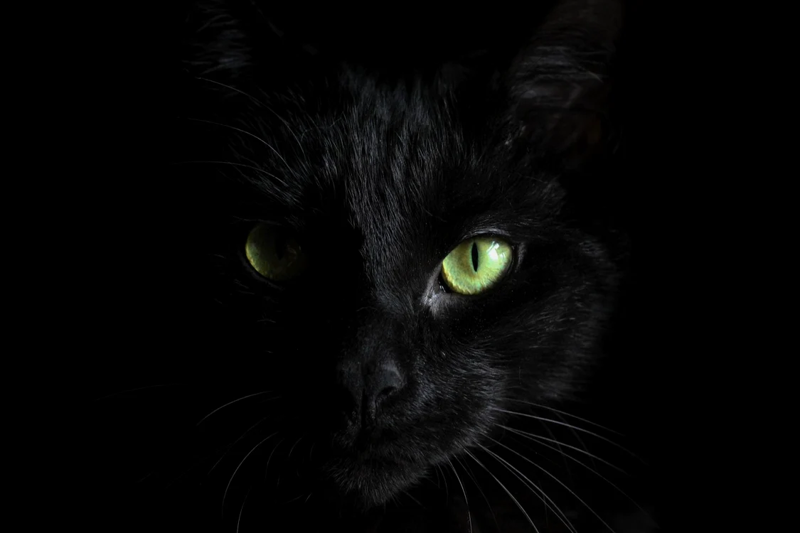 1 hannah troupe 0fqneb1vjam unsplash jpg jpeg