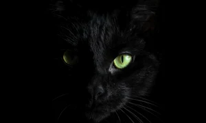 1 hannah troupe 0fqneb1vjam unsplash jpg jpeg