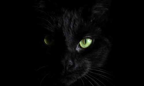 1 hannah troupe 0fqneb1vjam unsplash jpg jpeg