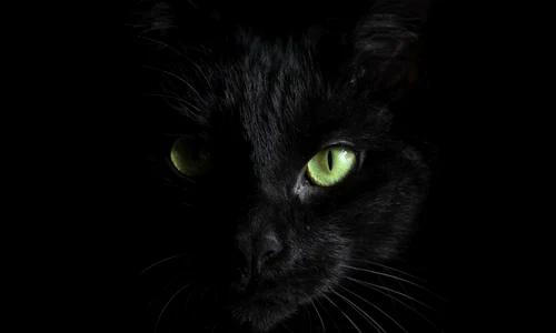 1 hannah troupe 0fqneb1vjam unsplash jpg jpeg